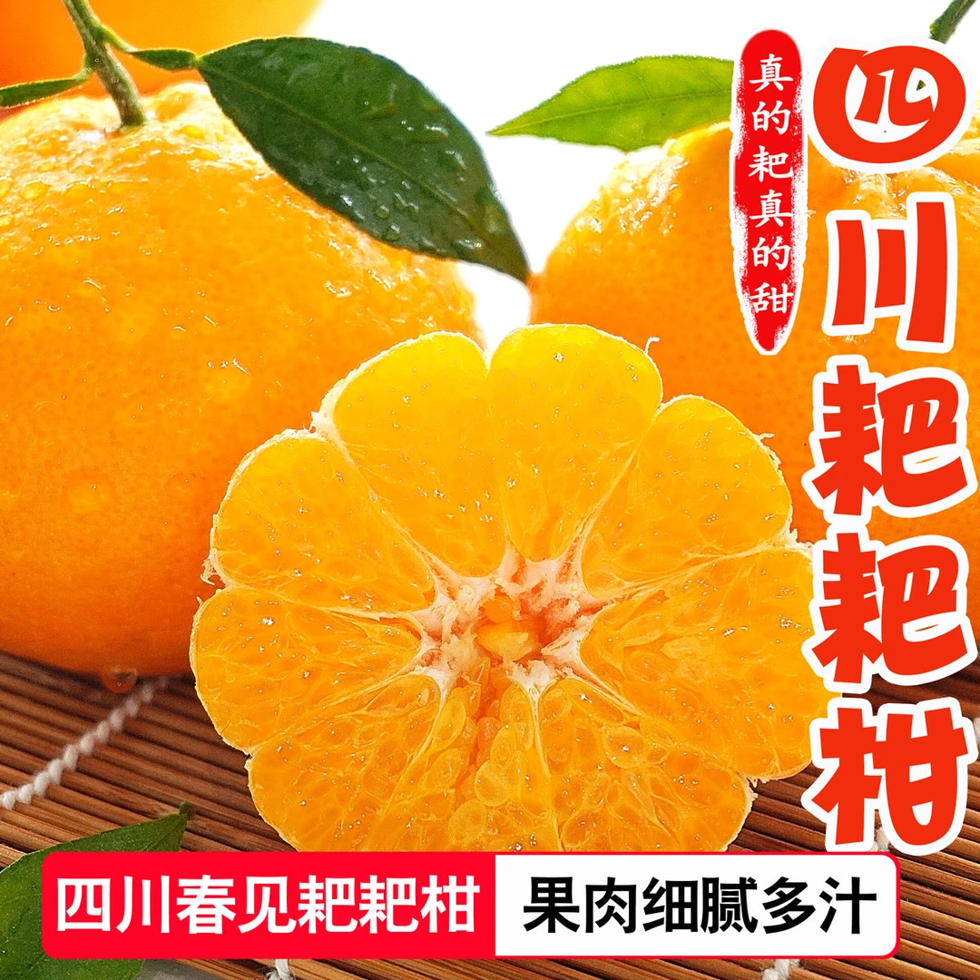 四川春见耙耙柑2斤/4.5-8斤新鲜水果当季热卖丑橘子粑粑柑