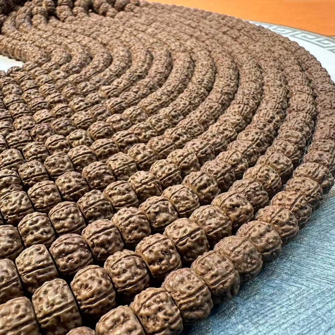 554原皮纯血麦穗龙尺寸8-12mm+钢丝刷+碧根果拆