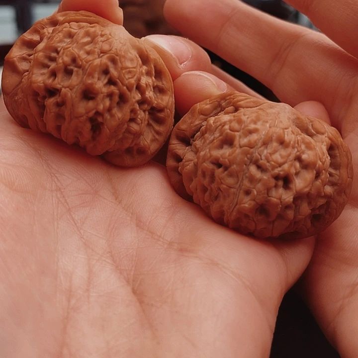 核桃41尺野生麒麟磨