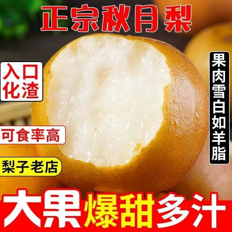 山东正宗莱阳秋月梨脆甜多汁新鲜当季水果礼盒