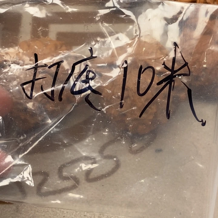 w***g文玩核桃吊坠打底