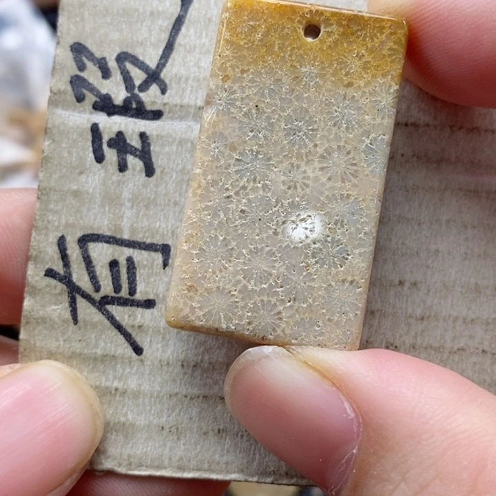 硅化珊瑚（珊瑚玉）颈饰未镶嵌伟*伟