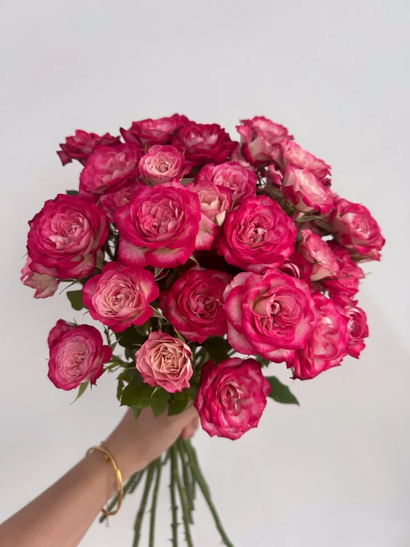 【狮子座多头玫瑰】鲜切花水养花期长鲜切花礼物家养