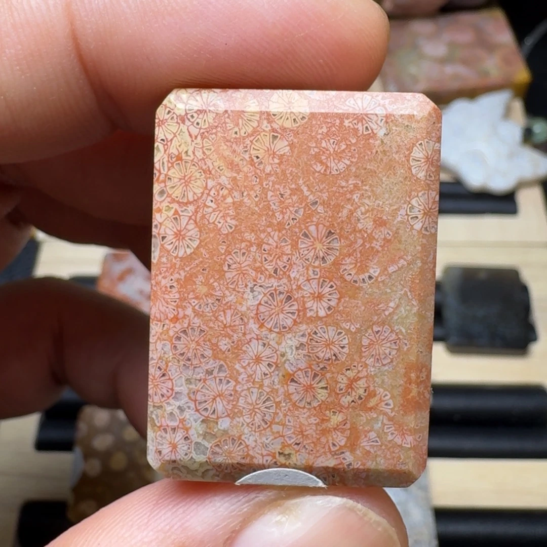 未镶嵌纯天然色有机玉石保真色硅化玉