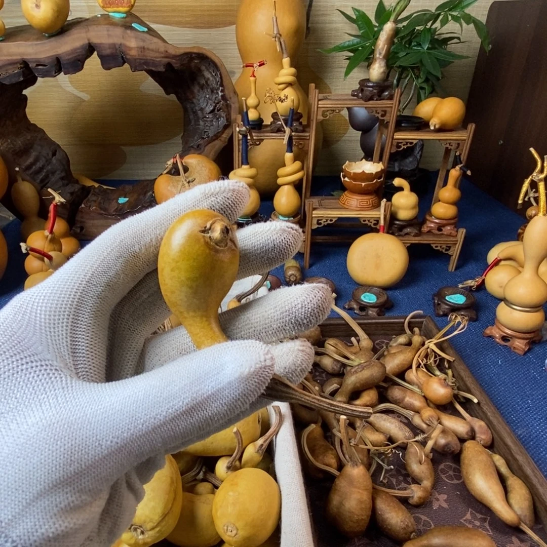 文***良露露啦啦啦开局图