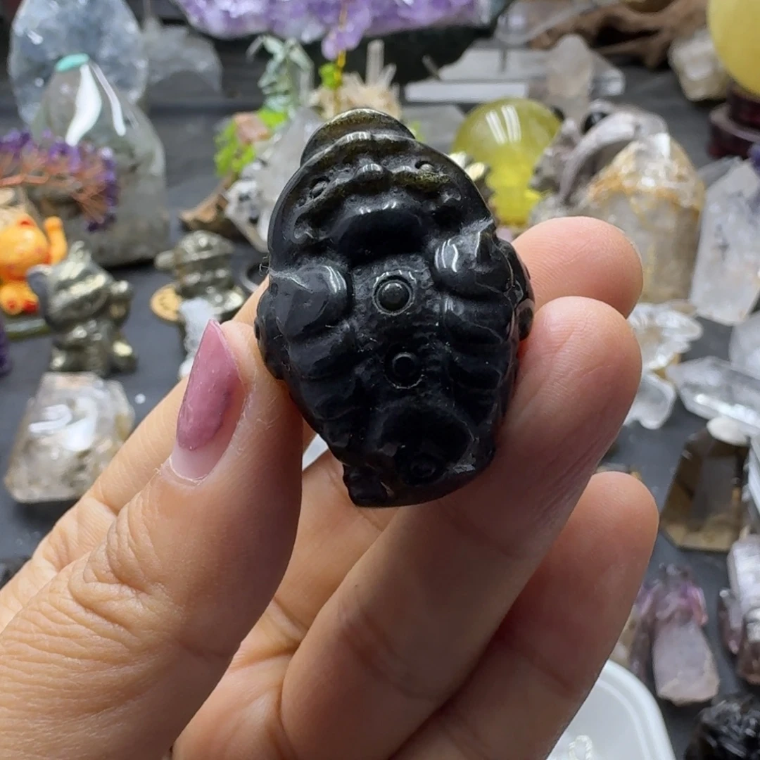 *****金蟾一个小可爱的