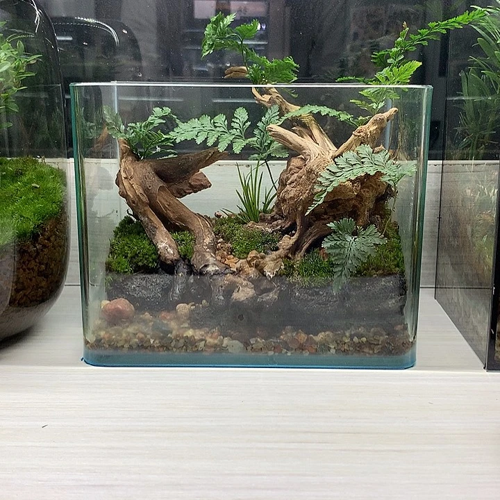 无花朵孤品热弯缸树根款