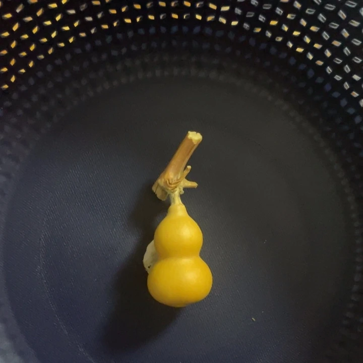 大***长一家人一家人一家人