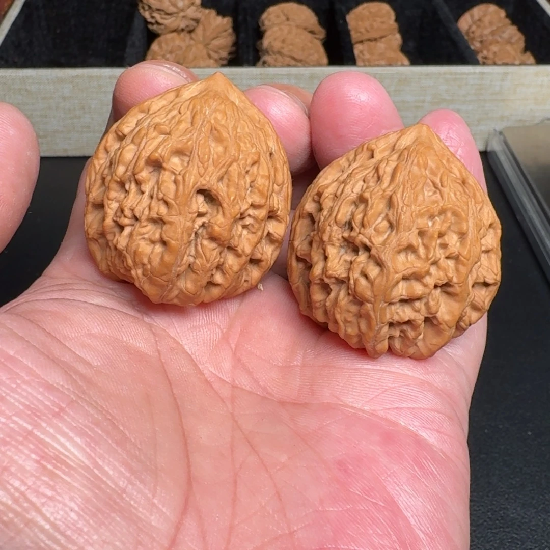 文玩核桃把件全品水龙纹 尺寸37