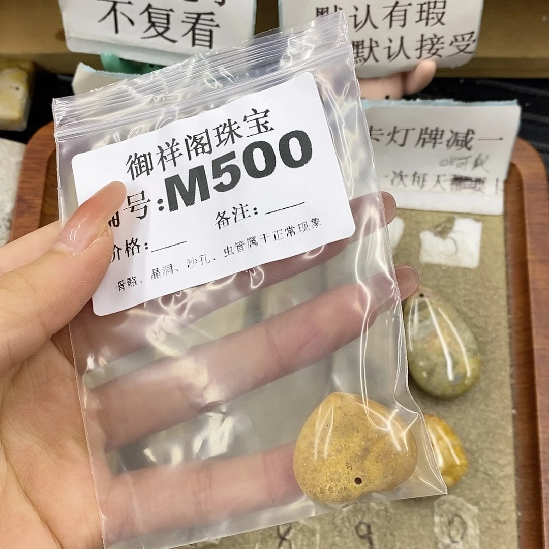 硅化珊瑚（珊瑚玉）未镶嵌颈饰小***笋