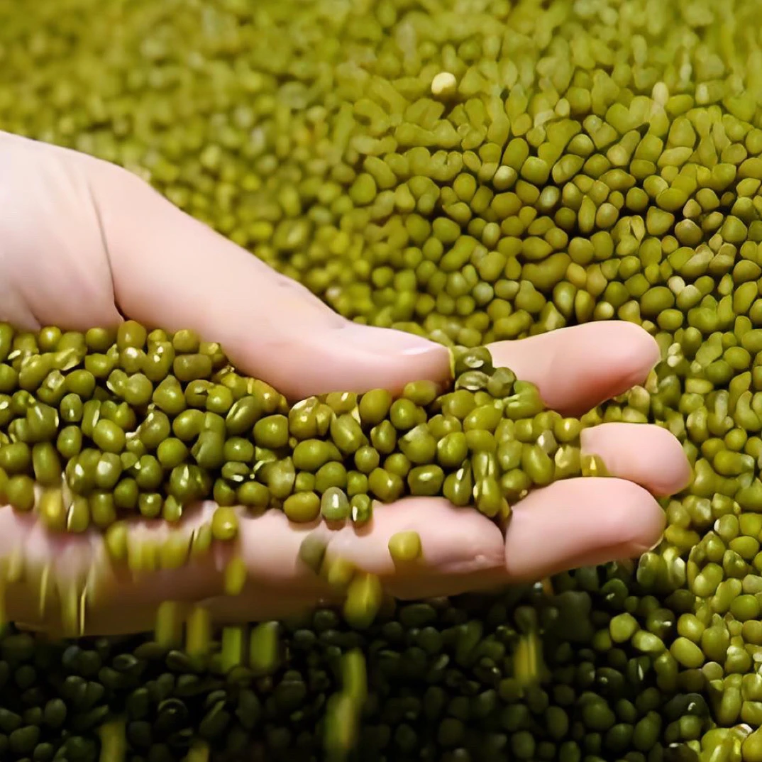 【小绿豆】大山深处农家豆生态营养
