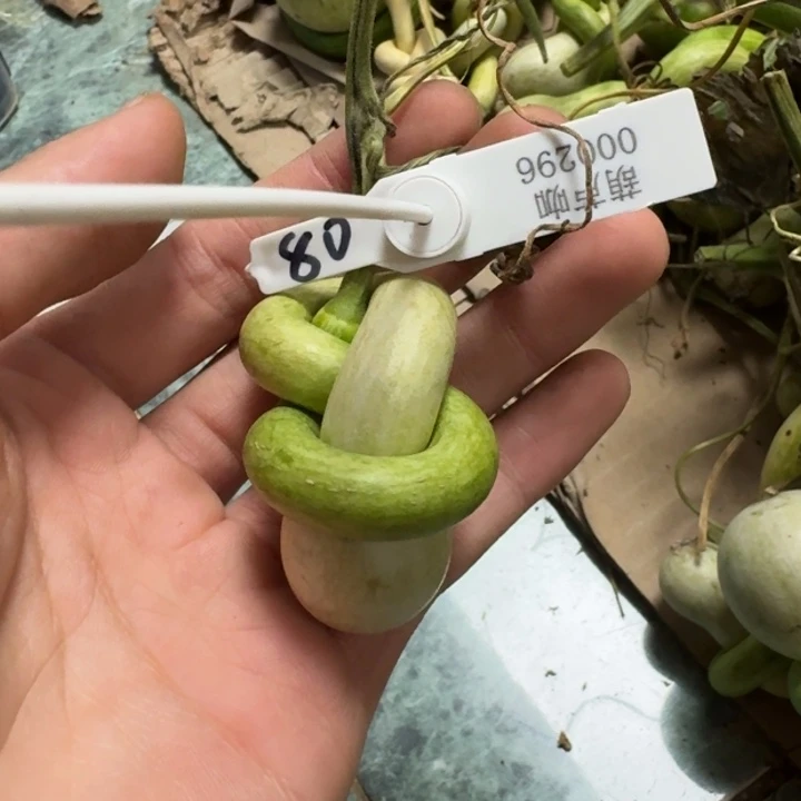 A***眠还差哈哈哈哈哈哈哈哈