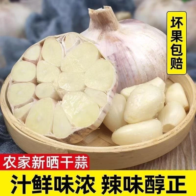 山东金乡大蒜头2/3/5斤干蒜特大蒜批发鲜大蒜正宗2025干蒜新干蒜