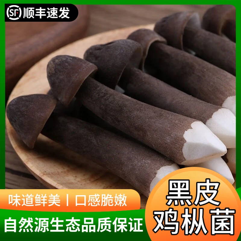 新鲜黑皮鸡枞菌顺丰包邮可用于煲汤火锅的优质餐饮食材