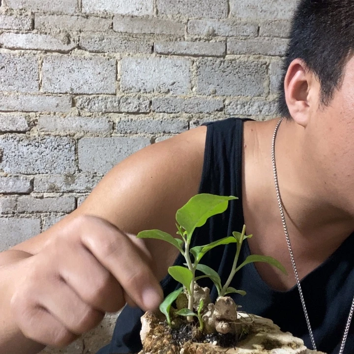 ****暖完全开放退款拉黑一物一拍240