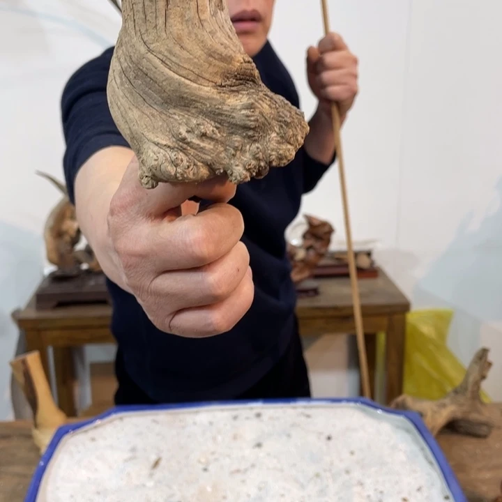 孤*零我们都是好孩子呀