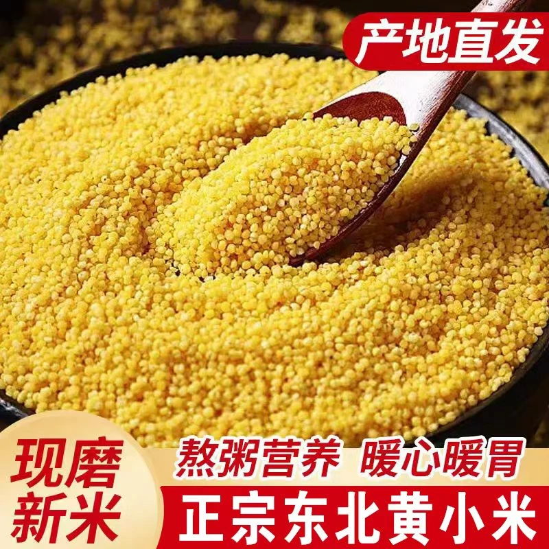 【到手5斤】黄小米金苗K1色泽金黄熬粥米油浓厚五谷杂粮