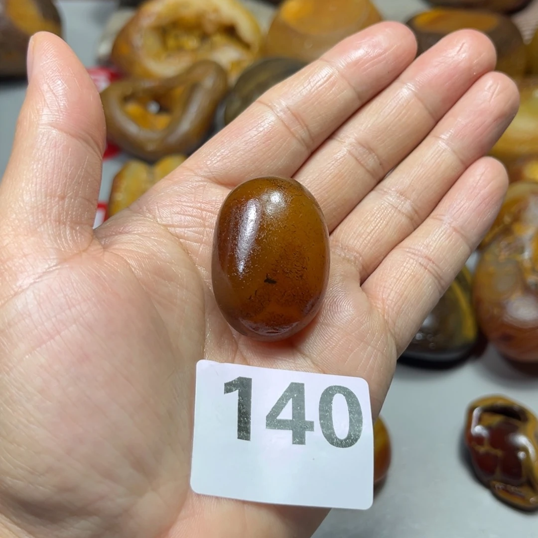 老挝石鹤*羽马料马料马料