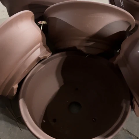 100-5。      微瑕33.5-14