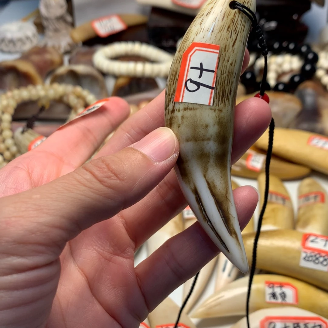 驼骨把件驼骨把件深色牙牙