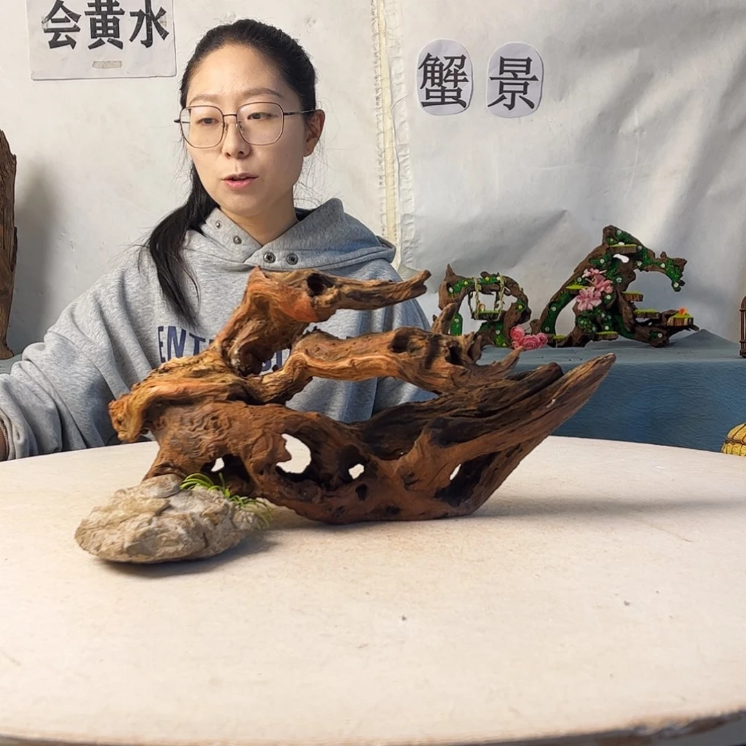沉木造景寄居蟹造景
