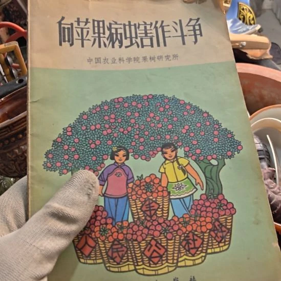 怀***去衣服啊啊啊啊啊啊啊啊