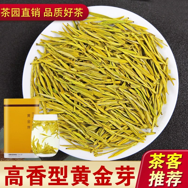 2025年春茶高山黄金芽口感鲜爽回甘豆香浓郁香浓耐泡茶叶礼盒送人
