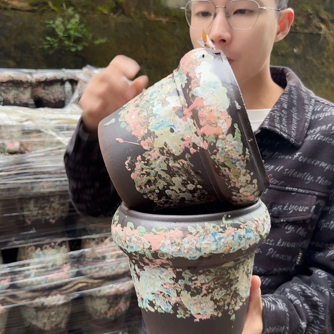 紫砂花盆口18高18（两个火锅姹寂