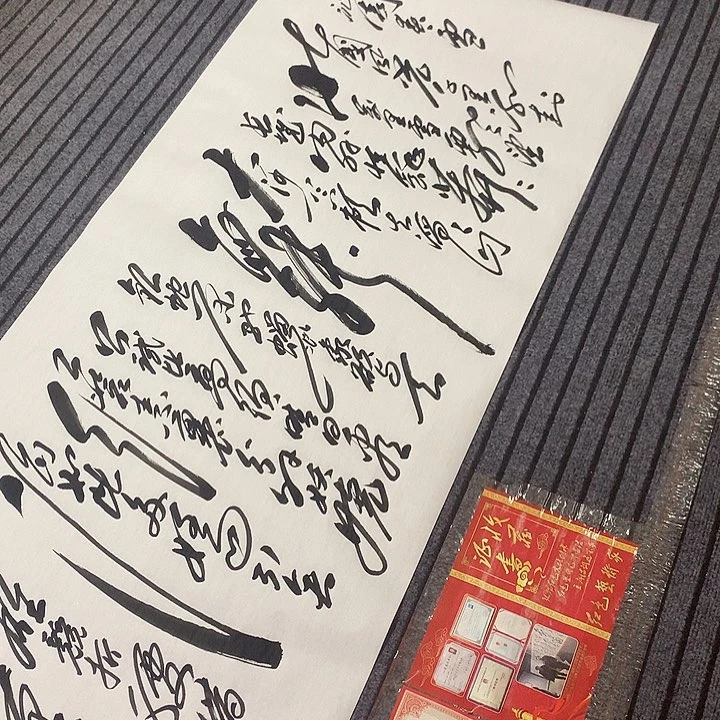 书法冯伟老师雪作品
