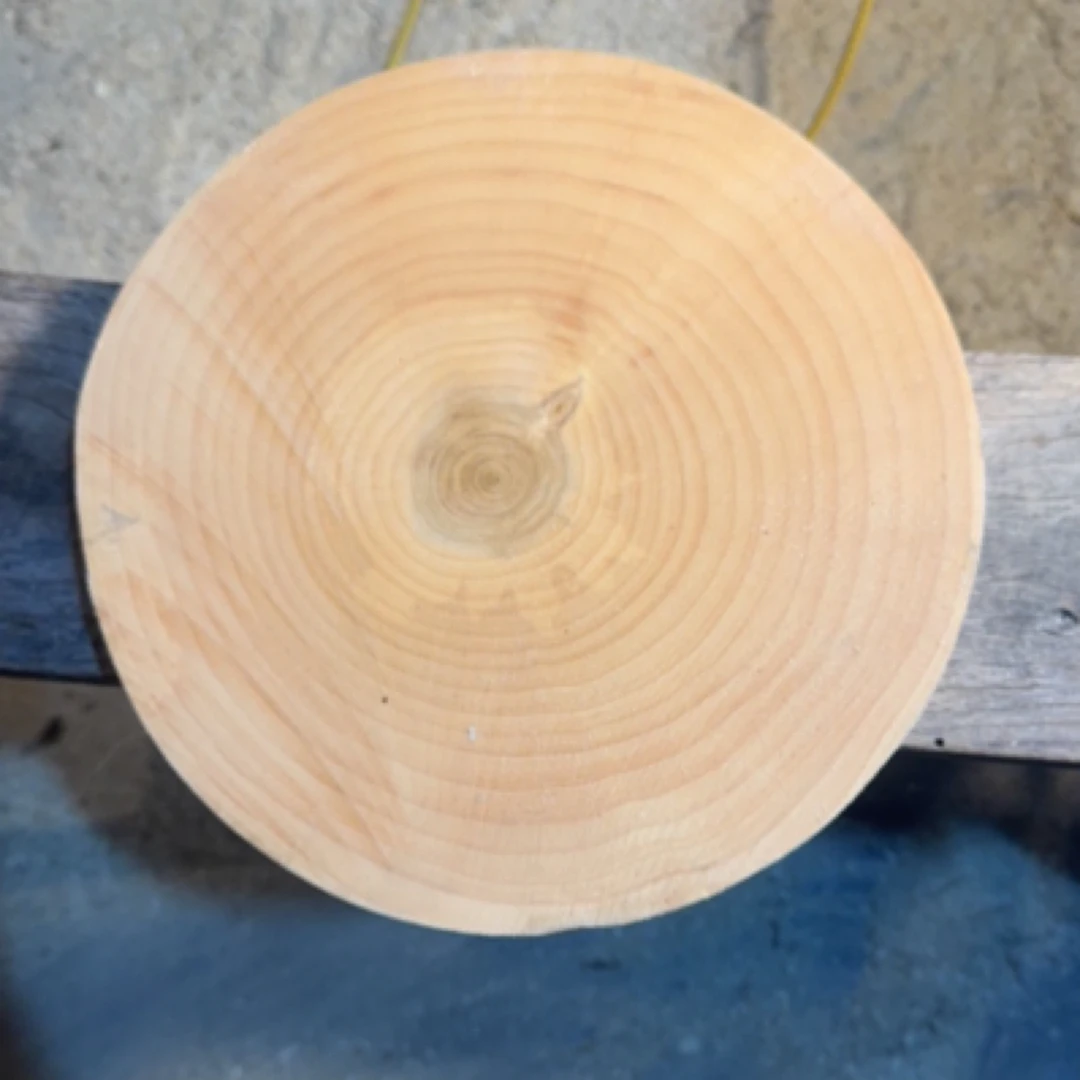 （26/4）去皮正圆 白果树银杏木 砧板 家用菜板水果板 整木无拼接