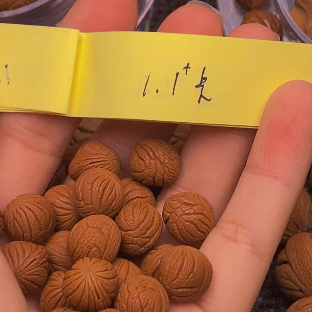 秦岭山脉龙纹桃核。21