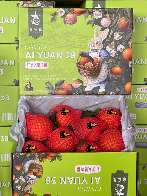 爱媛红美人果冻橙1件毛重5公斤左右