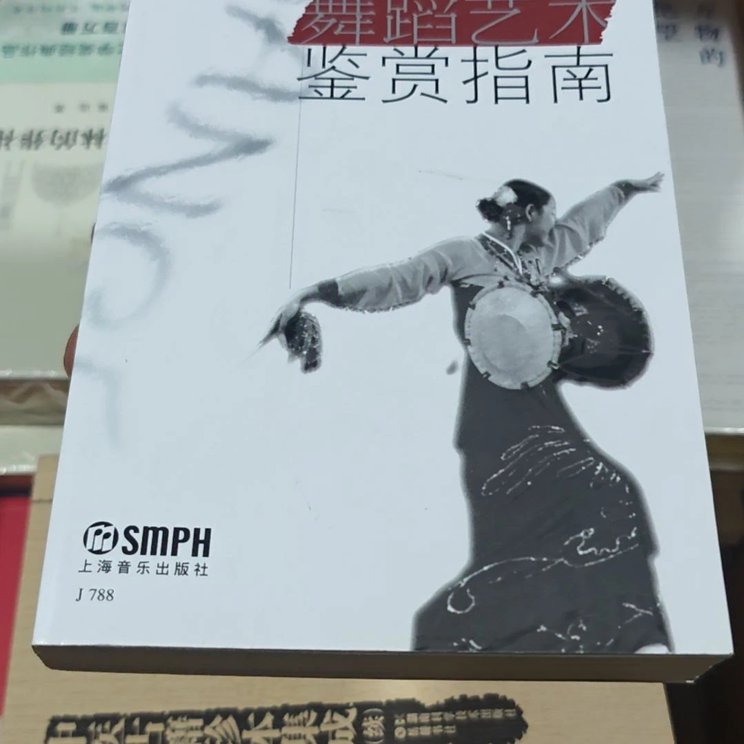 中国舞蹈艺术平装没塑封