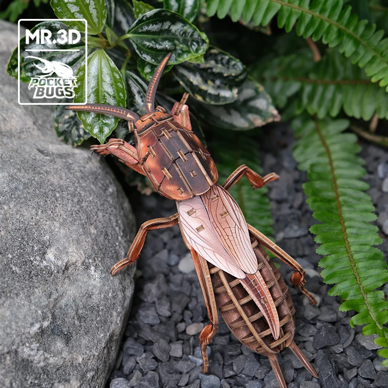 MR.3D【口袋昆虫】蝼蛄木制拼插模型益智玩具礼物潮玩