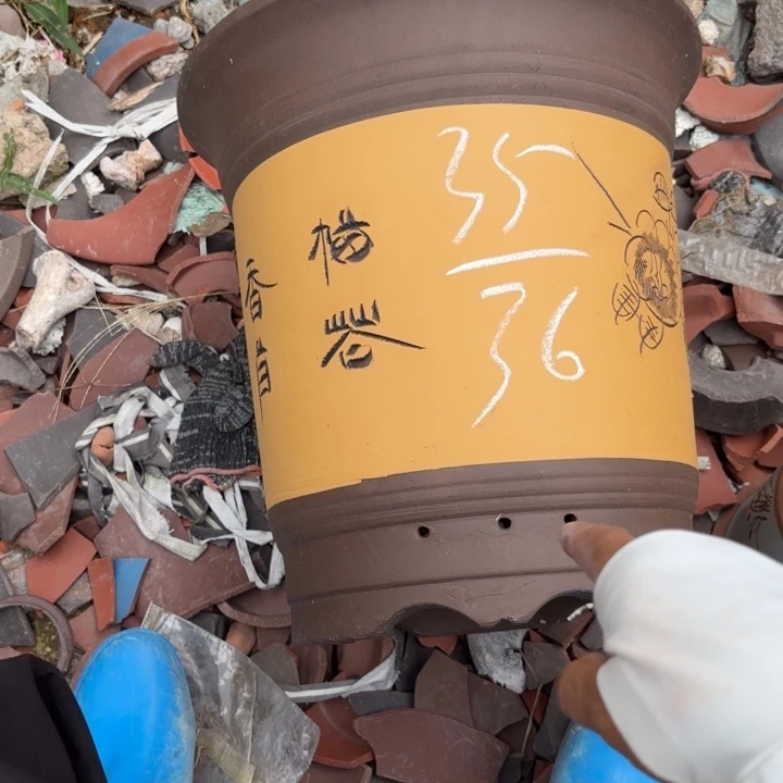 花盆紫砂紫砂的颜色