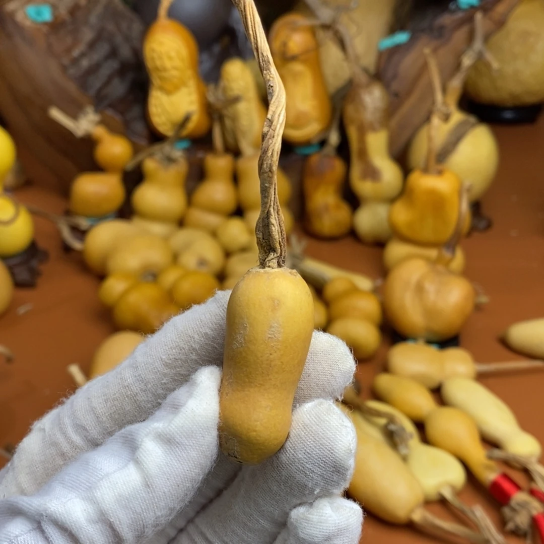 樂***光教练咯考虑教练咯教练