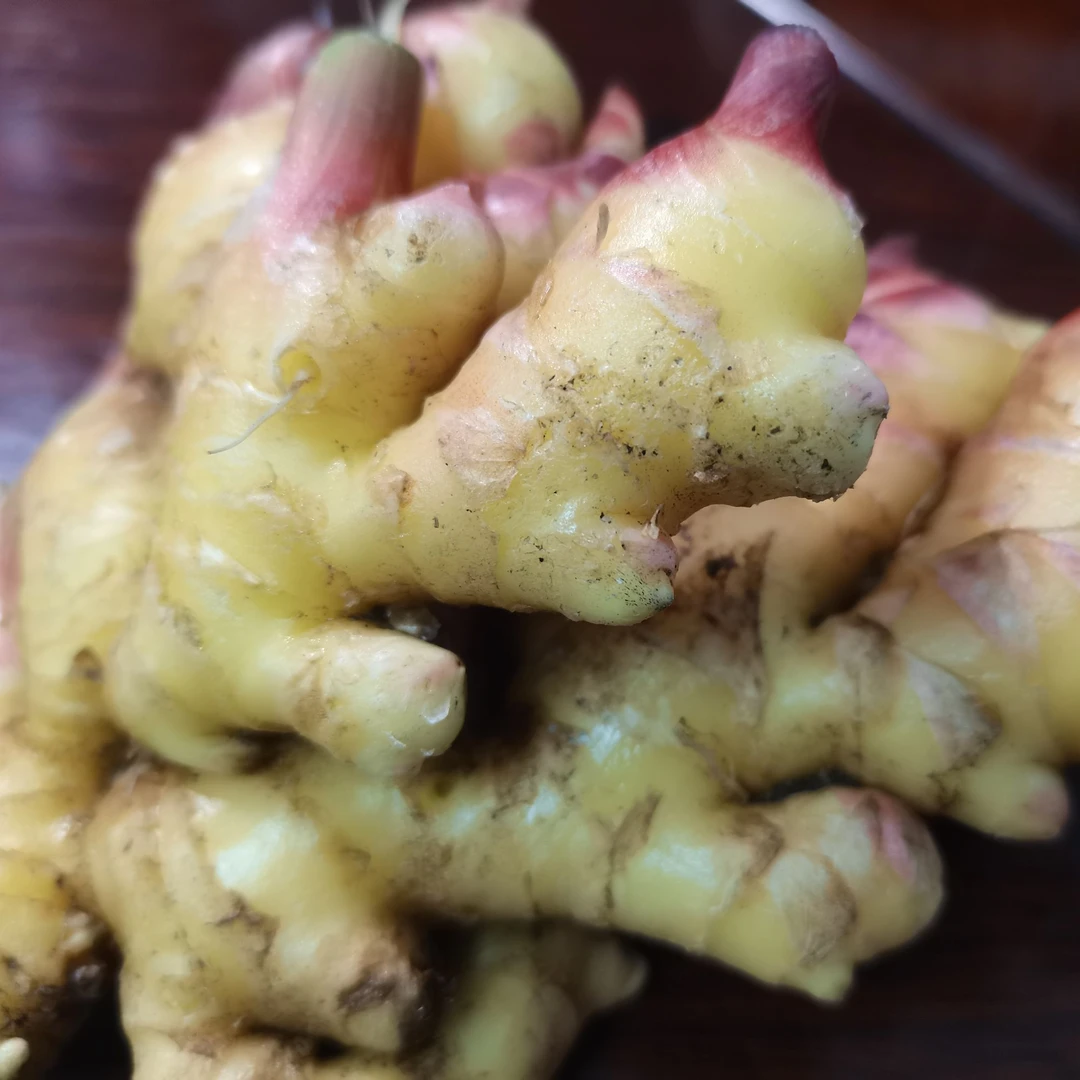 梅川嫩姜鲜姜现挖生姜