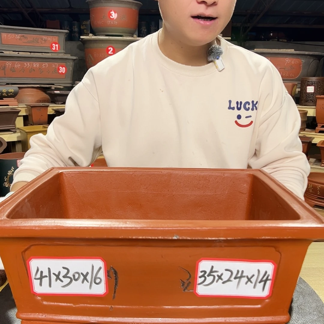 紫砂花盆感谢政府