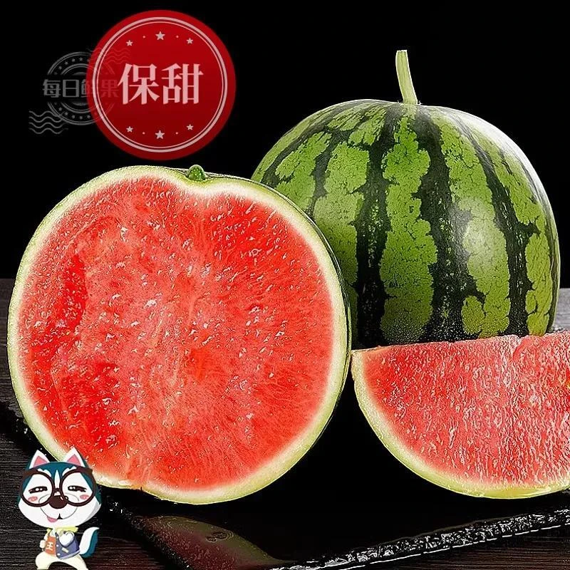 【汁多甜爽】满口糖 冰镇爆甜麒麟西瓜整个西瓜同城配