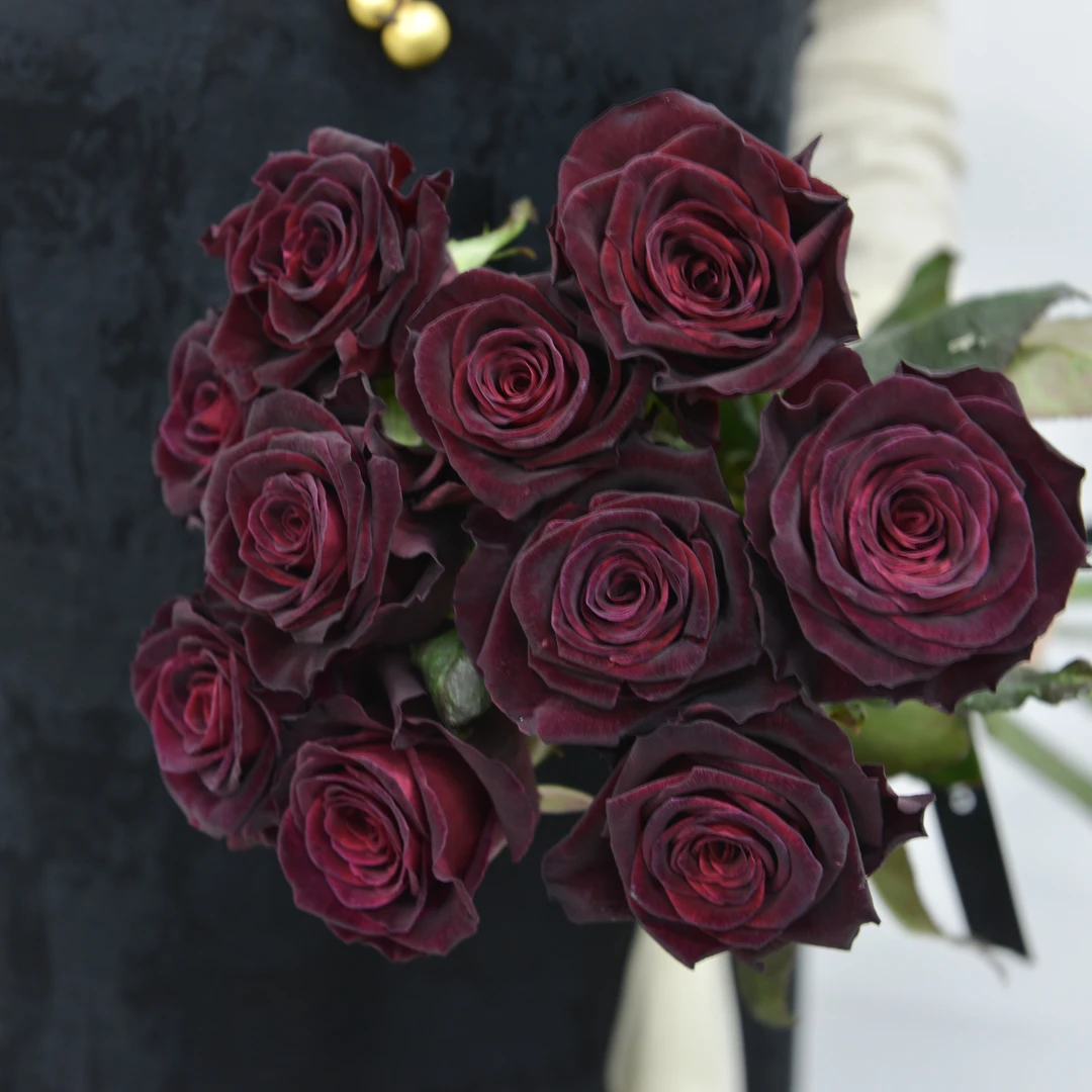 【禾韵山东】黑巴克玫瑰 花束鲜花直发自有基地智慧花束鲜花