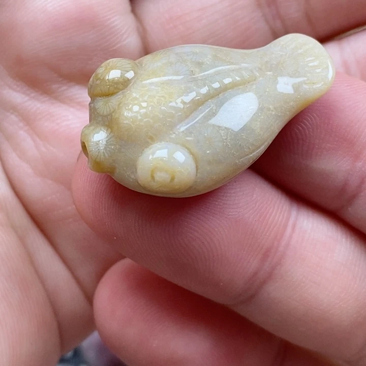 颈饰未镶嵌硅化珊瑚（珊瑚玉）小