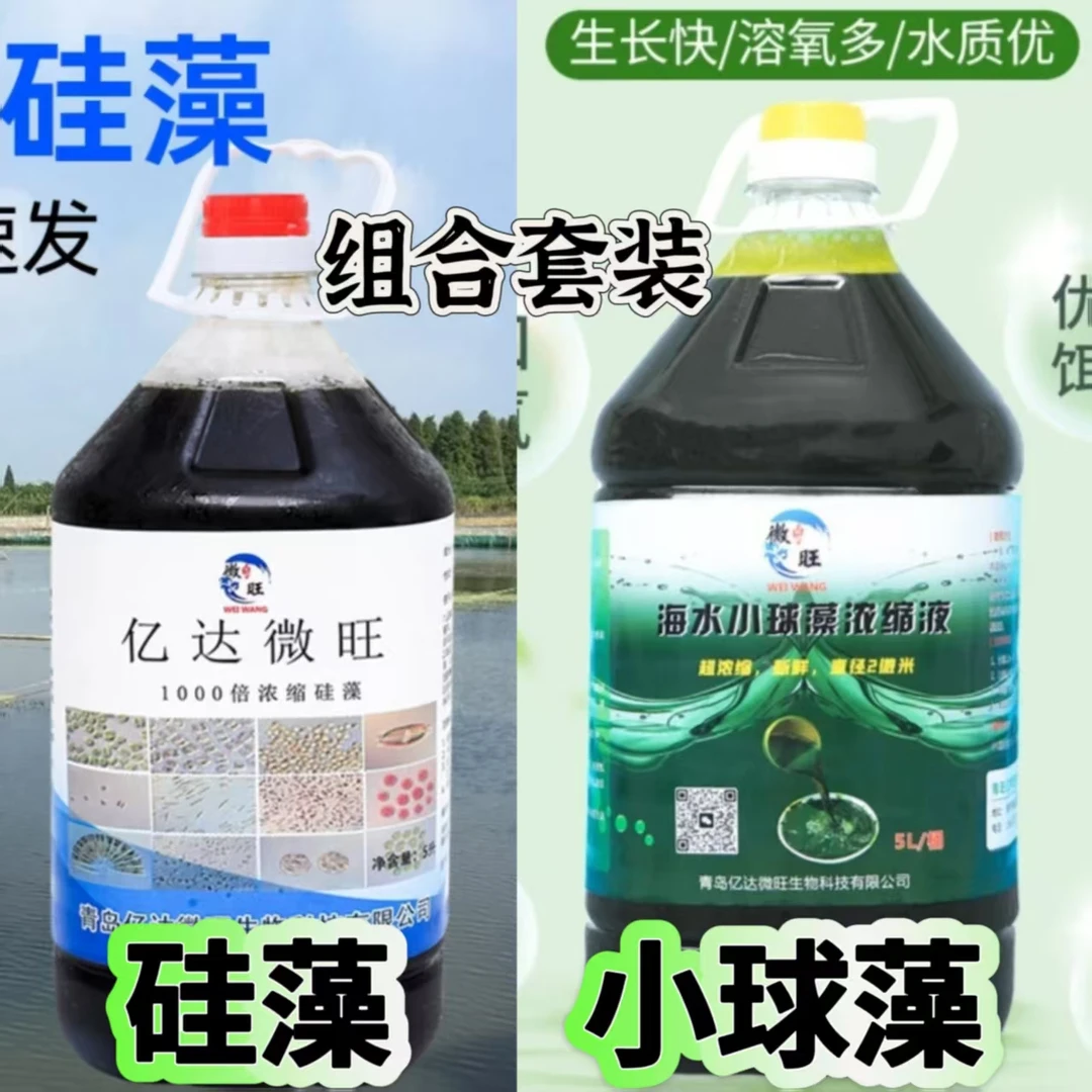 小球藻+硅藻混合套餐增氧降氨氮肥水营养好新鲜浓缩水产养殖鱼虾