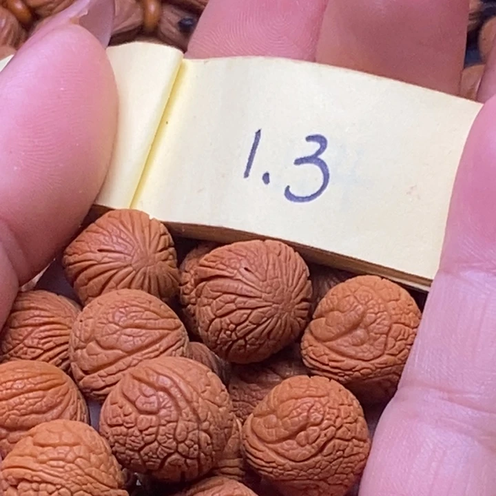 秦岭龙纹桃核18颗