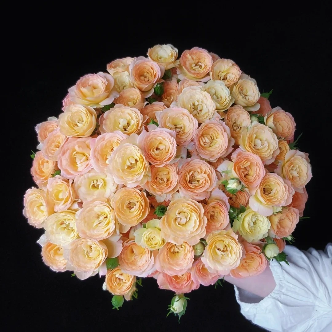 【云南花之物语】簪花笑玫瑰 包邮