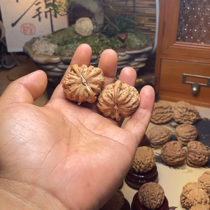 还***白37.5全品角白未打底