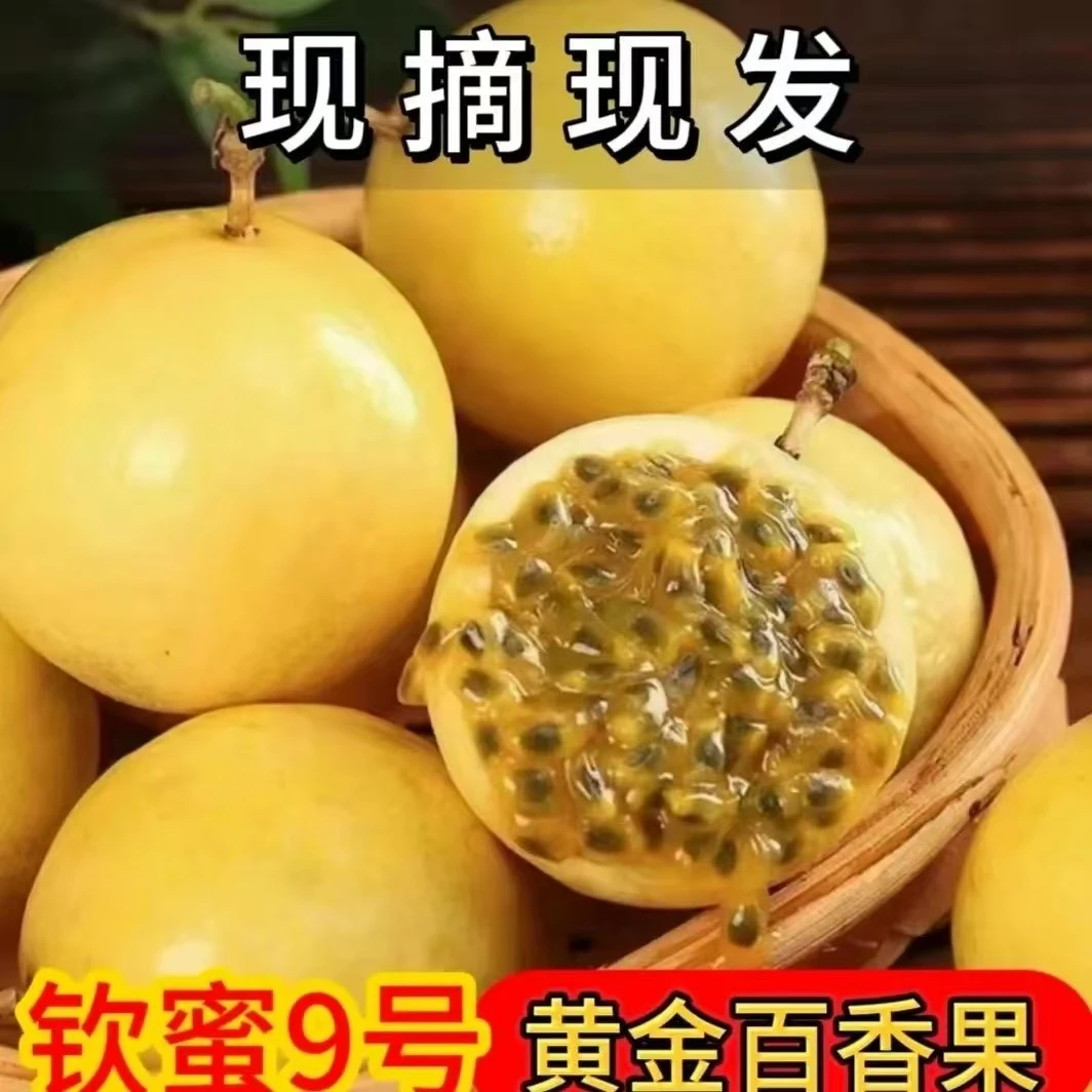【现场装果】正宗钦蜜9号百香果新鲜现摘当季水果香甜多汁