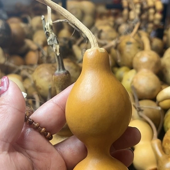 ꧁**꧂葫芦葫芦葫芦葫芦