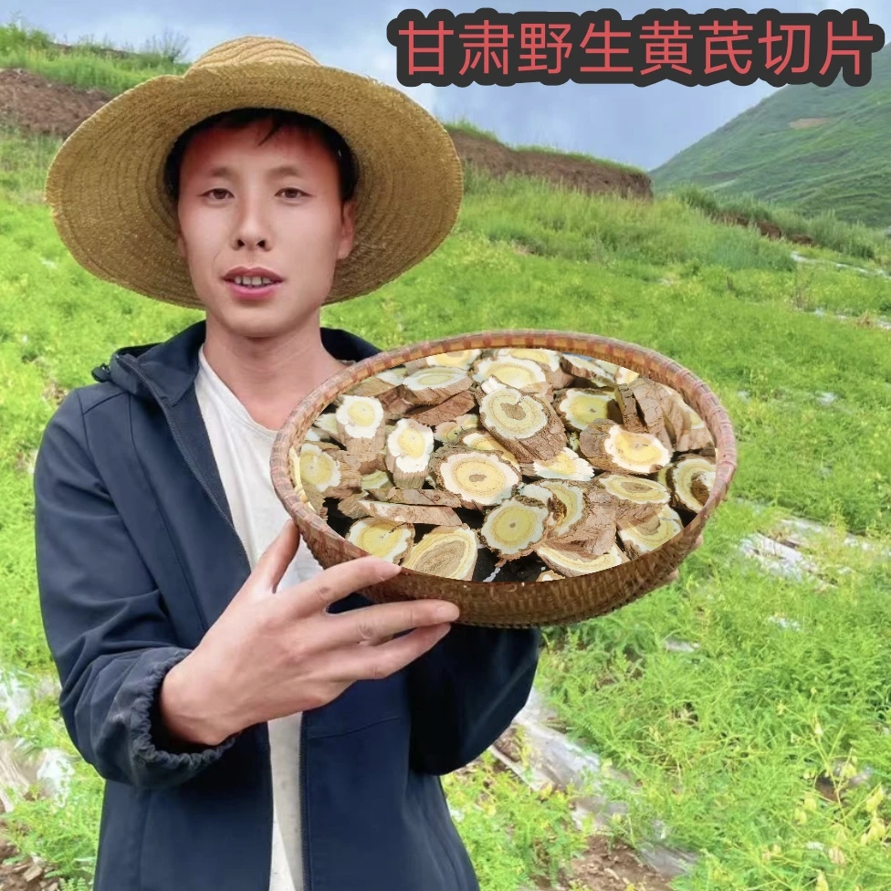 非种植黄芪手工切片