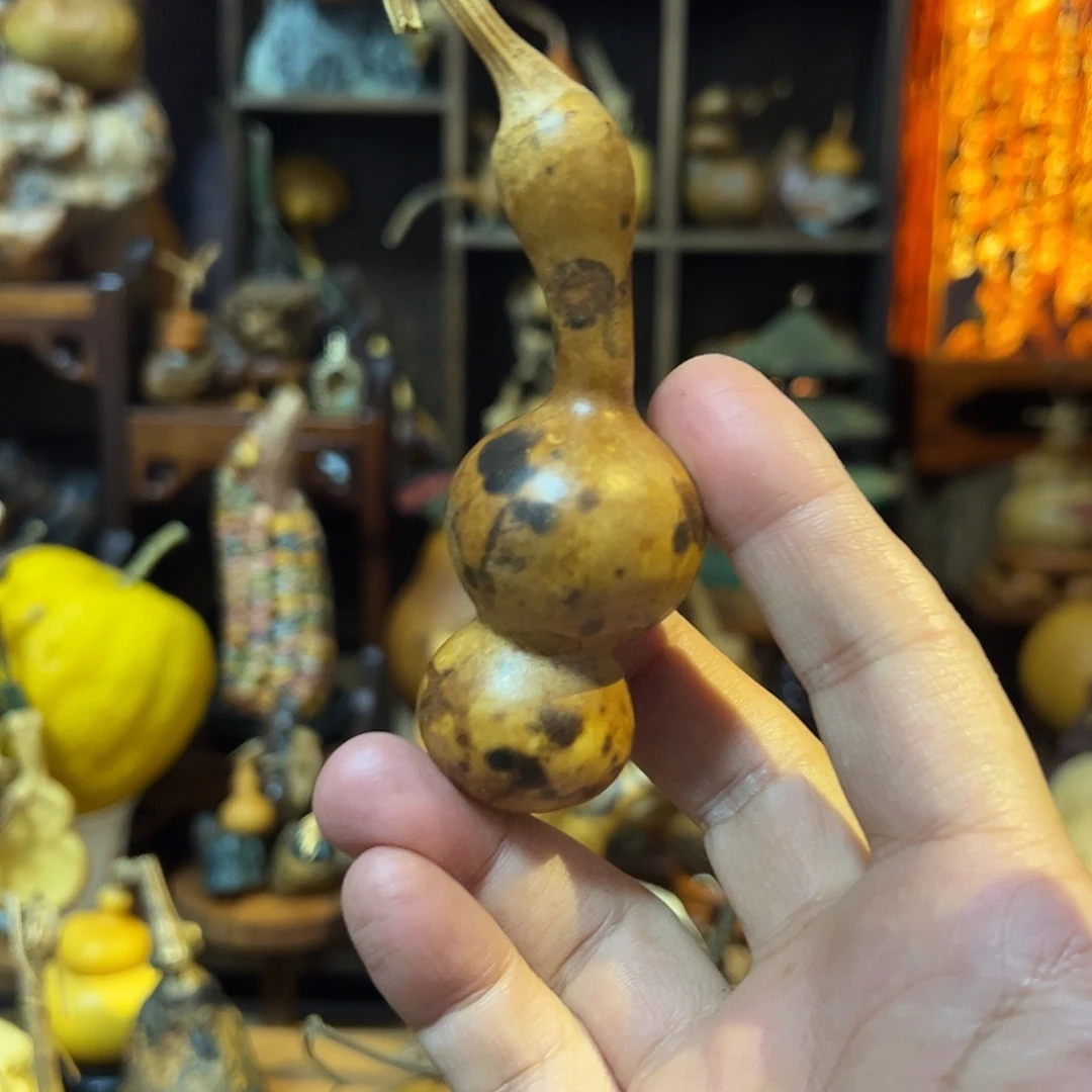 吴****大叶紫檀（黑酸枝木类）