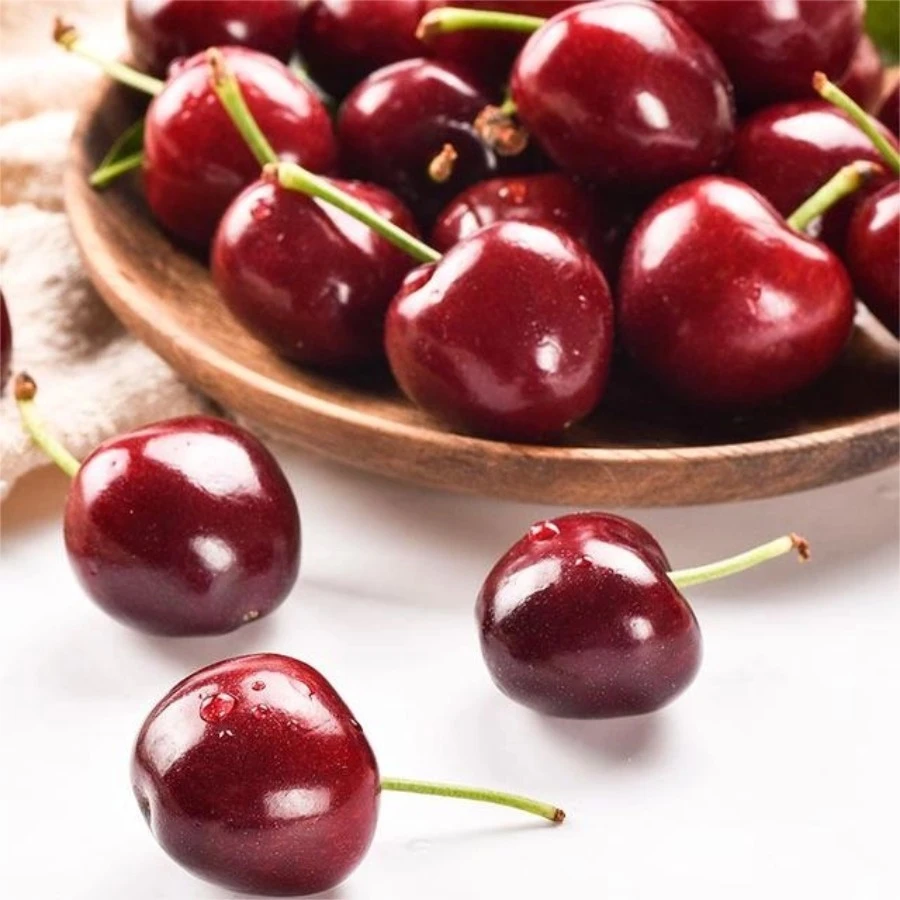 海运桑提拉JJJD车厘子5斤内附果径卡桑提娜樱桃智利共和国
